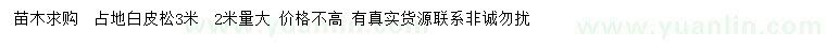 求購2、3米白皮松