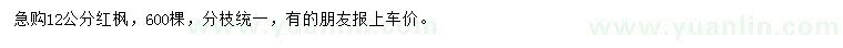 求購12公分紅楓