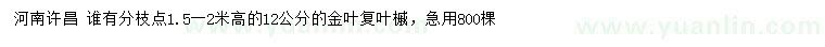 求購(gòu)12公分金葉復(fù)葉槭，