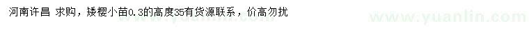 求購0.3公分矮櫻小苗