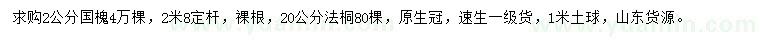求購2公分國槐、20公分法桐