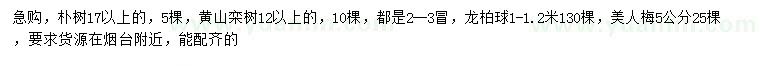求購樸樹、黃山欒樹、龍柏球等