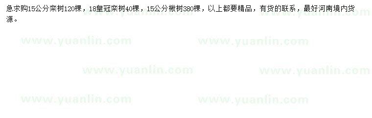 求購欒樹、皇冠欒樹、楸樹