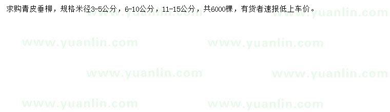 求購米徑3-5、6-10、11-15公分青皮垂柳