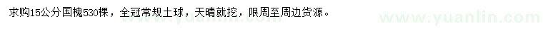 求購15公分國槐