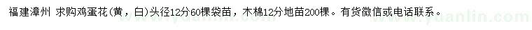 求購頭徑12公分雞蛋花(黃，白)、12公分木棉