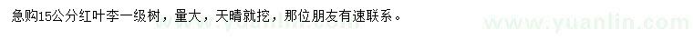 求購(gòu)15公分紅葉李