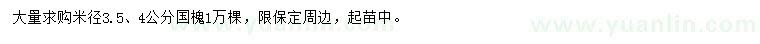 求購米徑3.5、4公分國槐