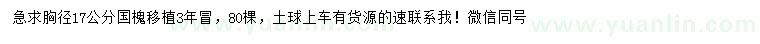 求購(gòu)胸徑17公分國(guó)槐