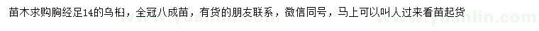 求購(gòu)胸徑足14公分烏桕