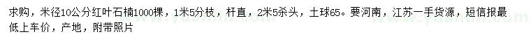 求購米徑10公分紅葉石楠