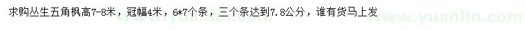 求購高7-8米叢生五角楓