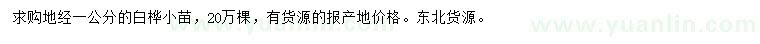 求購地徑1公分白樺小苗