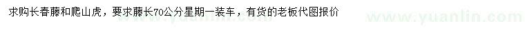 求購藤長70公分長春藤、爬山虎