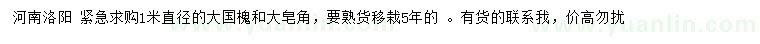 求購直徑1米大國槐、大皂角