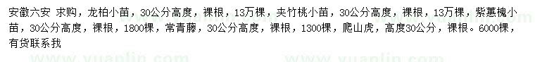 求購(gòu)龍柏小苗、夾竹桃小苗、紫蕙槐小苗等