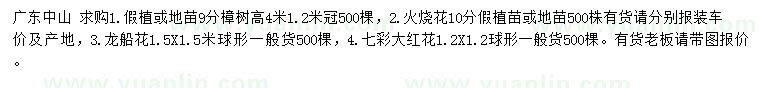 求購(gòu)樟樹、火燒花、龍船花等