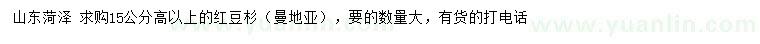 求購(gòu)高15公分以上紅豆杉（曼地亞）