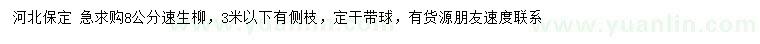 求購(gòu)8公分速生柳