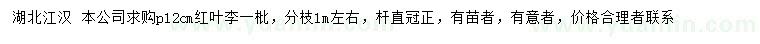 求購冠幅12公分紅葉李