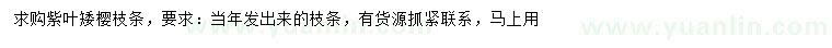 求購紫葉矮櫻枝條