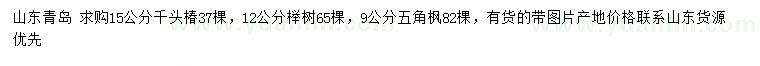 求購千頭椿、櫸樹、五角楓