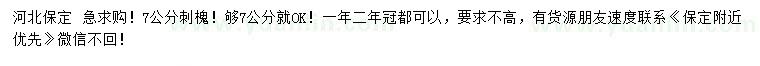 求購7公分刺槐
