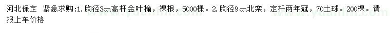 求購(gòu)胸徑3公分高桿金葉榆、9公分北欒