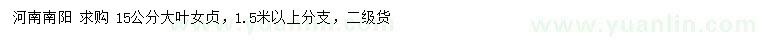求購15公分大葉女貞 