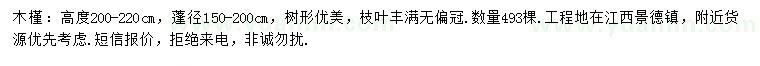 求購高度200-220公分木槿