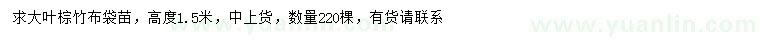 求購高度1.5米大葉棕竹