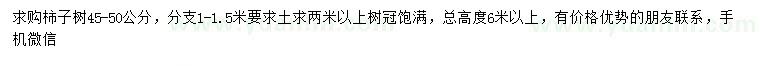 求購(gòu)45-50公分柿子樹(shù)