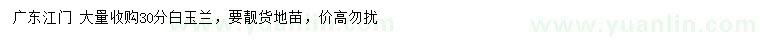 求購(gòu)30分白玉蘭