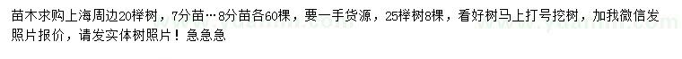 求購20、25公分櫸樹