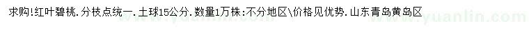 求購紅葉碧桃