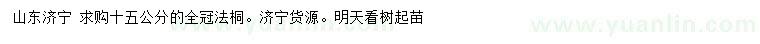 求購15公分全冠法桐