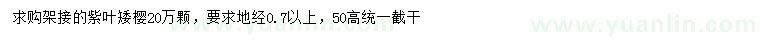 求購地徑0.7公分以上紫葉矮櫻
