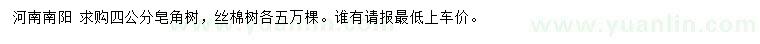 求購4公分皂角樹、絲棉樹
