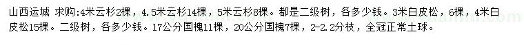 求購云杉、白皮松、國槐