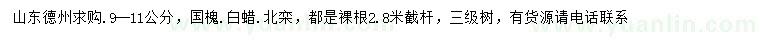 求購國槐、白蠟、北欒