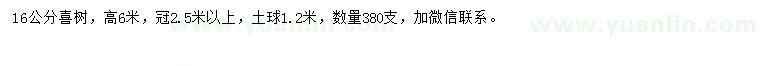 求購16公分喜樹