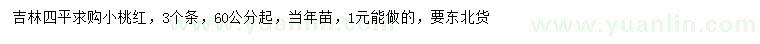 求購(gòu)60公分起小桃紅