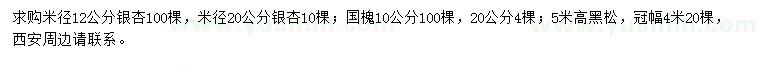 求購(gòu)銀杏、國(guó)槐、黑松