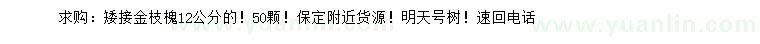 求購12公分矮接金枝槐