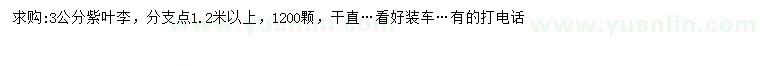 求購3公分紫葉李