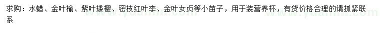 求購(gòu)水蠟、金葉榆、紫葉矮櫻等