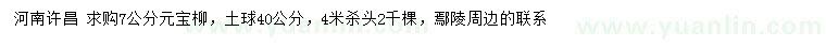 求購7公分元寶柳