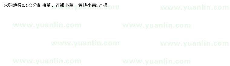 求購刺槐苗、連翹小苗、黃櫨小苗