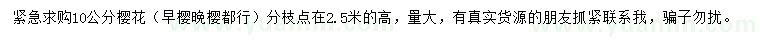 求購10公分櫻花
