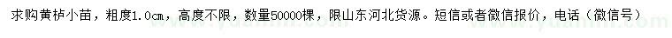 求購粗度1公分黃櫨小苗